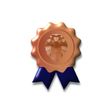 Bronze Sponsor Medal